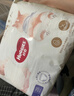 好奇（Huggies）软萌星人柯基裤拉拉裤XL28片(12-17kg)尿不湿【软糯贴贴】 实拍图