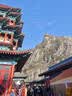 城市理享樱花白茶豆腐木薯混合猫砂2.5kg*4 除臭颗粒吸味结团快不粘底低尘 实拍图