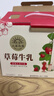 北海牧场 草莓果汁牛奶200ml*10盒 真果汁真牛乳 营养早餐奶饮料礼盒装 实拍图