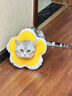 华元宠具（hoopet）猫咪伊丽莎白圈项圈宠物狗狗圈耻辱圈颈圈脖圈头套犬防舔头罩头套 实拍图