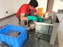京东家电清洗 油烟机【全拆洗+烟管换新】服务 同城上门清洁保养 实拍图