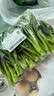 【高原夏菜】 菜心苗250g 实拍图