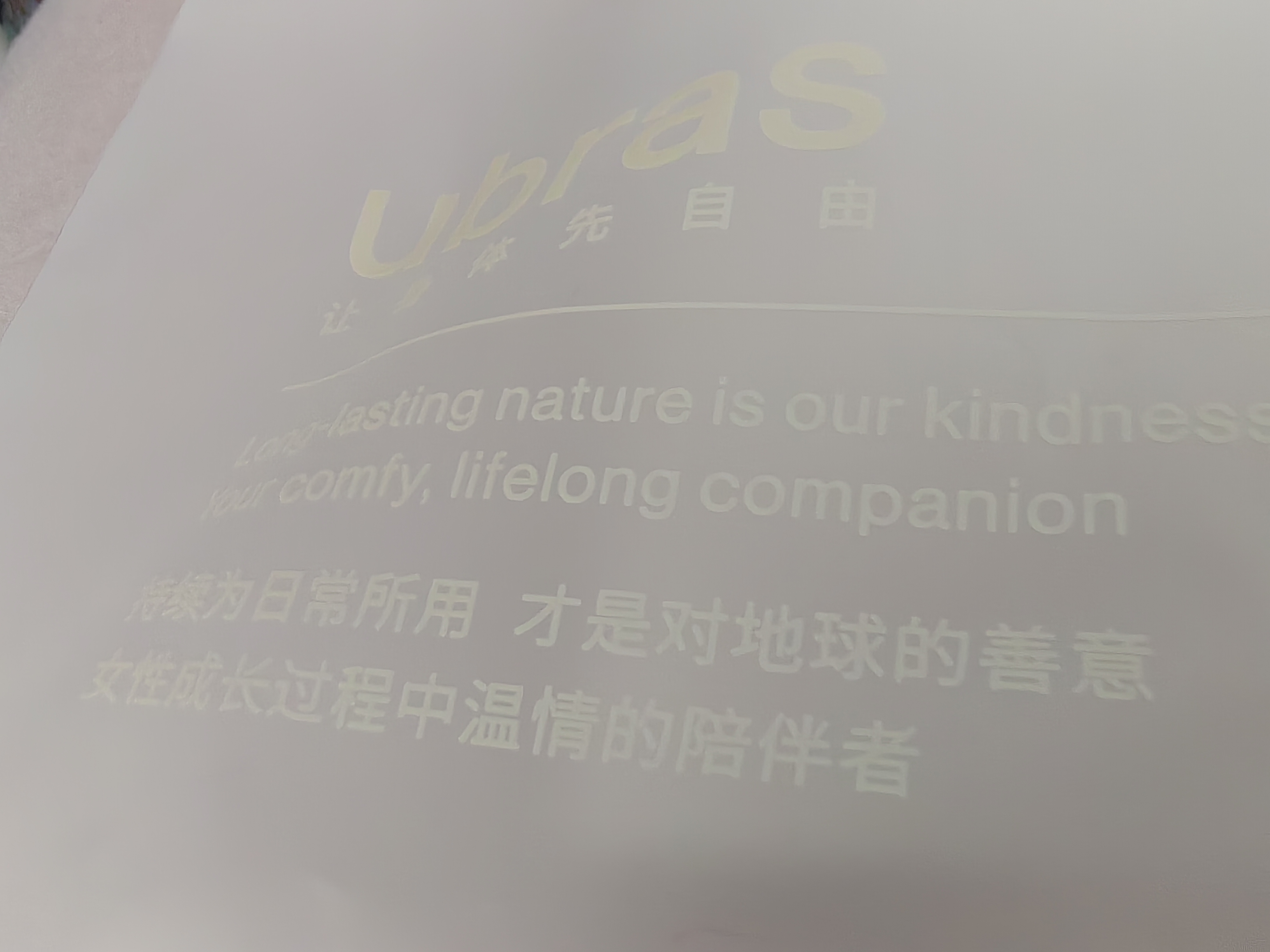 ubras虞书欣同款夹心软支撑光面细肩带文胸女士内衣女 实拍图
