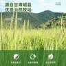 喜帅兔子提摩西草 精选烘干北提提草龙猫兔粮荷兰猪主粮磨牙零食500g 实拍图
