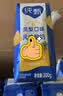 蒙牛纯甄「凤梨菠萝味」风味酸奶200g*10盒 整箱礼盒装 早餐奶酸牛奶 实拍图