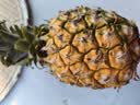 广东湛江徐闻菠萝 香水菠萝 热带水果 1个装大果 净重1.5-2斤 实拍图