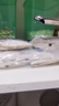世壮中国农科院纯燕麦片350g*3需煮冲饮谷物送礼快煮全麦燕麦片 实拍图
