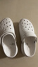 卡骆驰（CROCS）【预售】白鹿同款经典云朵洞洞鞋时尚百搭女鞋花园鞋|206750 骨白色-2Y2(含智必星)【预售】 36 /37(230mm) 实拍图