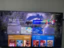 TCL SQD-MiniLED电视 85T7M Pro 85英寸 100%全局高色域 4GB+64GB超大内存 T7L Ultra 实拍图