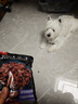 HELLOJOY 狗狗零食宠物泰迪金毛幼犬成犬训练奖励 营养牛肉粒450g 实拍图