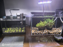 尼奥光（NEO-HELIOS）鱼缸灯水草灯LED灯S3pro+RGB植物光谱 【二代加长款】13wS3pro+加长24厘米 实拍图