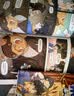 米吴科学漫画书第三辑9-12册一年级课外阅读书儿童读物7-10岁乐乐趣正版漫画书小学生8-12岁省钱卡 儿童科普漫画 正版物化生地科学启蒙书儿童读物 京东自营 晒单实拍图