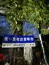 全友家居 儿童护脊天然椰棕床垫1.5米薄款偏硬榻榻米乳胶床垫子 实拍图