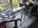 腆宠狗笼狗窝猫笼狗笼子中小型犬带厕所猫笼子大号家用室内狗围栏兔笼 实拍图