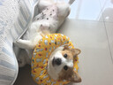 橘朵（Judydoll）砍刀眼线胶笔眼线笔防水防汗毕业礼物新手适合深发01黑棕 实拍图