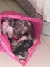 麦富迪猫粮 超肉粒冻干双拼成猫粮美毛护肠三文鱼10kg/20斤【宠物金选】 实拍图