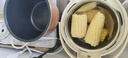 利仁（Liven）电压力锅家用高压锅2.5L容量多功能电压力锅304不锈钢内胆双胆多用锅2-3人YLG-D2570 实拍图