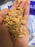 赶海弟 五星金钩海米500g虾米虾干 淡干小虾仁干虾皮 火锅食材 南北干货 实拍图