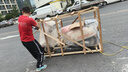 破界小卡拉圆灯特别版蜜桔色2026款新款燃油踏板摩托车可上牌复古 实拍图