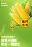 鲁花 食用油  非转基因 玉米油 桶装 5L  实拍图