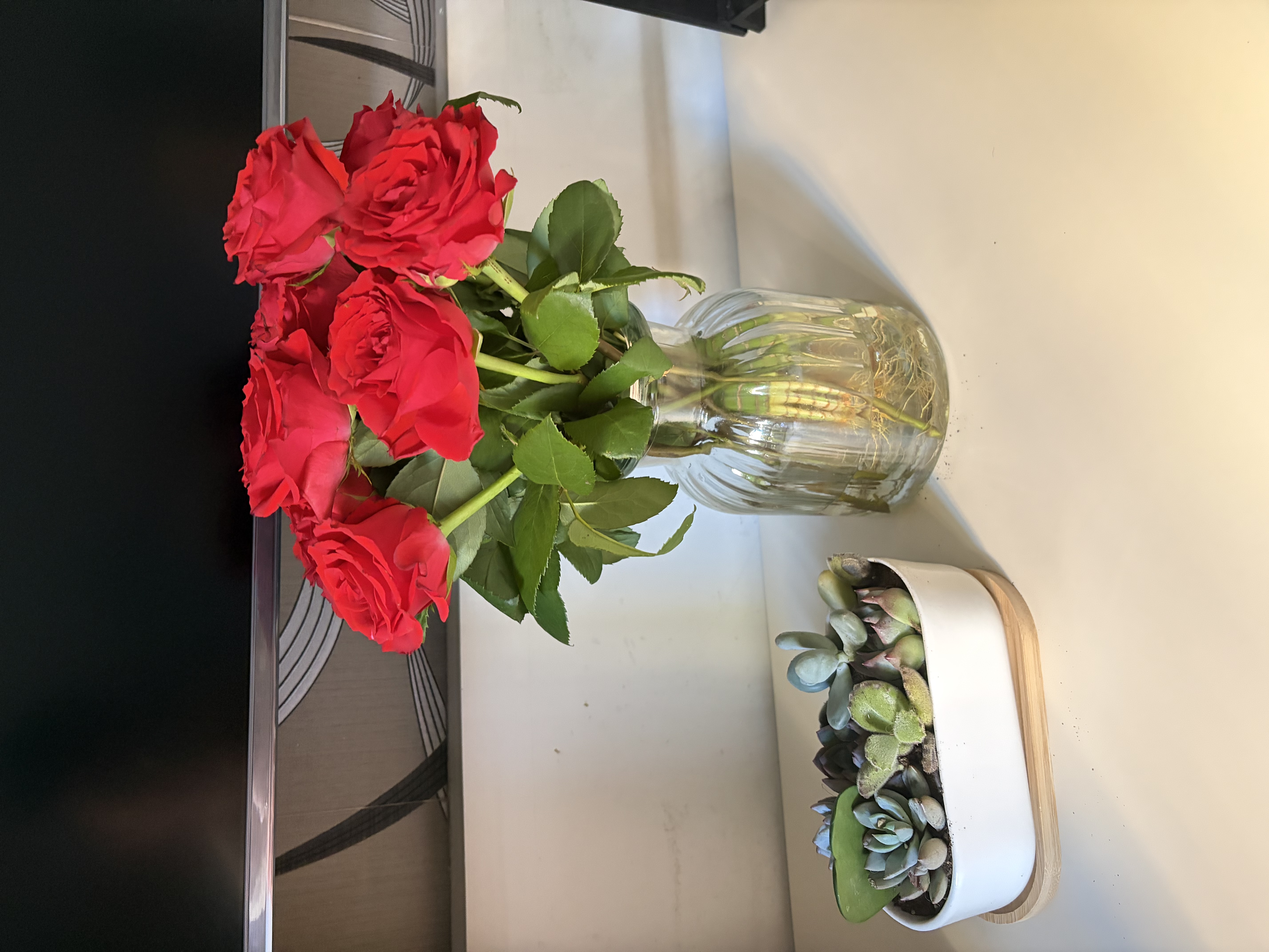 绿荫巷子多肉植物组合套餐肉肉室内植物办公室电脑桌面盆栽好养活小盆栽 【8颗多肉不重复】长方圆边盆+托 实拍图