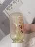 布朗博士PPSU奶瓶 3-6月新生婴儿防胀气防呛 防摔宽口径奶瓶270ml 金龙 实拍图