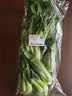 上海青约500g(油菜) 实拍图