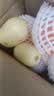京鲜生 甘肃沙漠人参果 净重3斤 单果150g+生鲜水果源头直发 实拍图