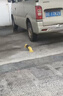 路喜 钢管挡车器车位道路限位器定制护栏阻车器地下停车场停车位车挡u型防撞护栏 0.6米U型10高1.5厚 76管 实拍图