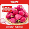 京鲜生河北樱桃小萝卜净重400g*2 单果10g+ 新鲜蘸酱菜水果萝卜源头直发 实拍图