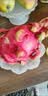 京鲜生越南进口红心火龙果2个装巨无霸 单果600-700g 源头直发 端午送礼 实拍图