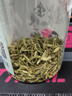 胡庆余堂 金银花66克/袋 清热解毒 疏散风热 山东道地精选药典精制中药饮片中药材 实拍图
