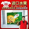 佳沛（zespri）新西兰阳光金奇异果16粒礼盒经典果单果 88-103g  猕猴桃水果礼盒 实拍图
