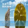 十月稻田 精选干海带头 200g 根部35cm 无沙 特厚叶片 凉拌煲汤火锅 爽脆 实拍图