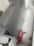戴睿（dere）政府补贴笔记本电脑 14英寸便携轻薄本 商务办公游戏上课网课手提本 12G/256G 实拍图