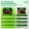 史丹利多肉土专用营养土颗粒土养多肉的种植土花土植物泥炭土壤5斤 实拍图