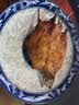 大希地【99元任选6件】羊肉串牛肉串烧鸟串烧烤串烤肠空气炸锅食材 烧鸟串 240g 实拍图