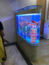 欧宝 鱼缸玻璃生态水族箱子弹头家用客厅屏风金鱼缸大型可定制 弧门款 侧滤 1.5米长 实拍图
