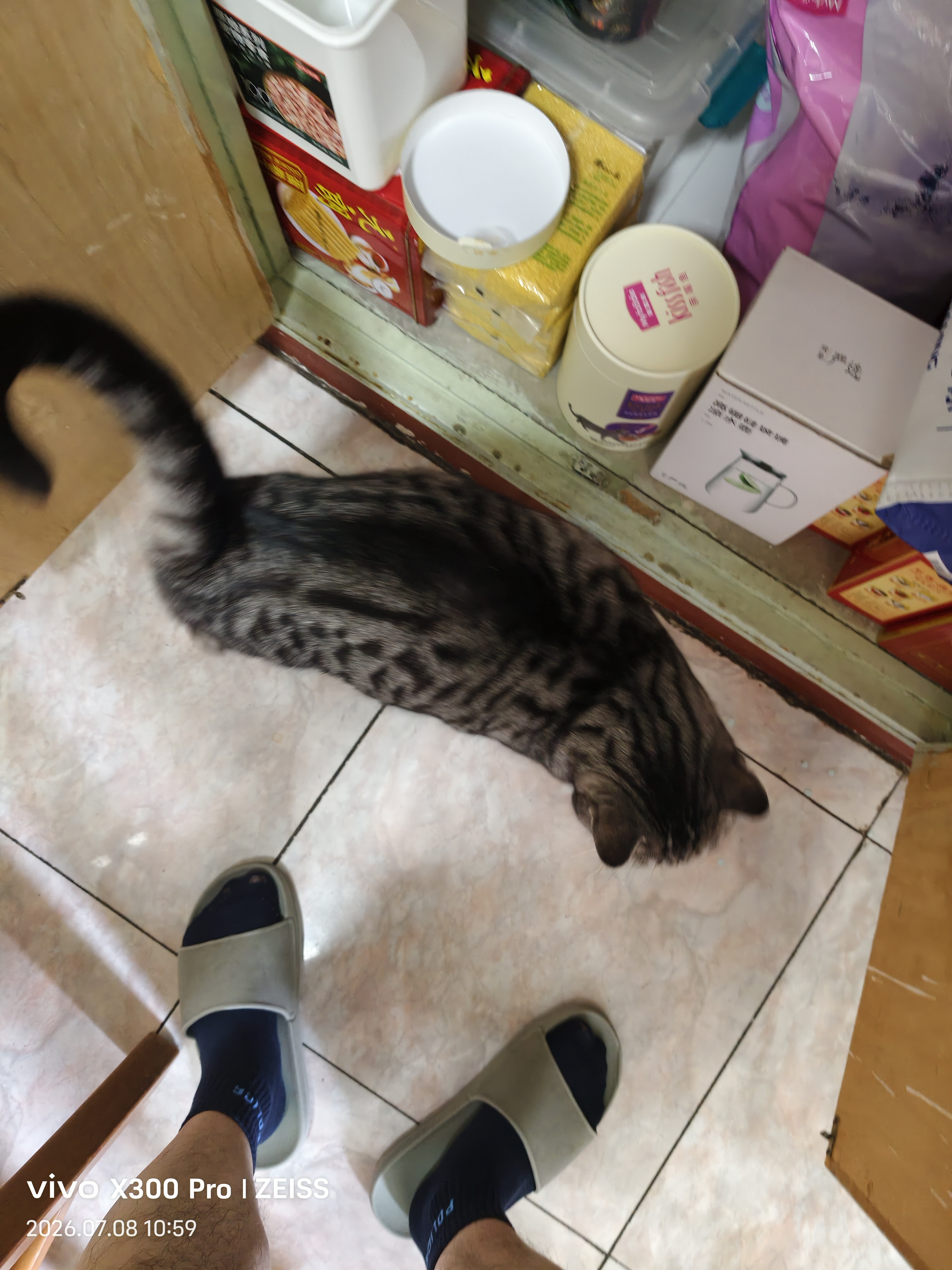 麦富迪猫粮 超肉粒冻干双拼成猫粮美毛护肠三文鱼10kg/20斤【宠物金选】 实拍图