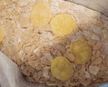 皇麦世家红枣高钙燕麦片1050g(35小包) 早餐代餐 送父母长辈礼物 实拍图