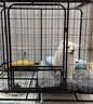 宠乐乖（CHONGLEGUAI）加粗方管狗笼子中型犬大型犬室内带厕所金毛拉布拉多柯基边牧92# 实拍图