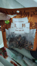 川珍八角150g【配料干净】广西大料茴香烧炖卤肉调料家庭装佐料香辛料 实拍图