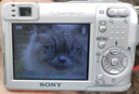 佳能（Canon）尼康 松下 奥林巴斯全品牌二手数码相机 佳能g7x2  索尼黑卡 RX100M2 M3  理光gr3富士x100微单相机 单反相机 索尼 实拍图