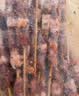 京东京造 秘制孜然羊肉串 净重1kg 内含约33串 烧烤食材空气炸锅露营户外 实拍图