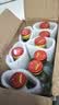 【直播专享】衡水老白干 38度浓香100ml 小二两纯粮小酒白酒 38度 8瓶 实拍图