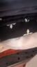 SMFK黑花园阔腿运动裤宽松显瘦长裤休闲裤黑色卫裤明星同款P0009BG 黑花园 L 实拍图