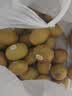 佳沛（zespri）新西兰 阳光金奇异果30-33粒原箱单果103-124g 猕猴桃水果礼盒 实拍图