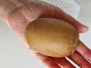 佳沛（zespri）新西兰 阳光金奇异果12粒特大果单果124-146g 猕猴桃水果礼盒 实拍图