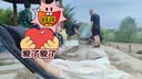 玛米玛卡（MOMOCO）女童连衣裙公主裙夏装纯棉甜美可爱棉布裙公主裙 粉色1 150 实拍图