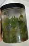 湾琴河 香油海白菜500g 罐装即食裙带菜梗段片海藻沙拉下饭菜 实拍图